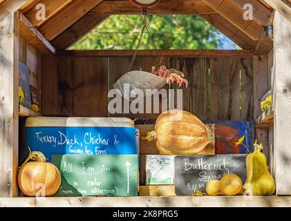 Kleine Farm stehen am Straßenrand in Springs Stockfoto