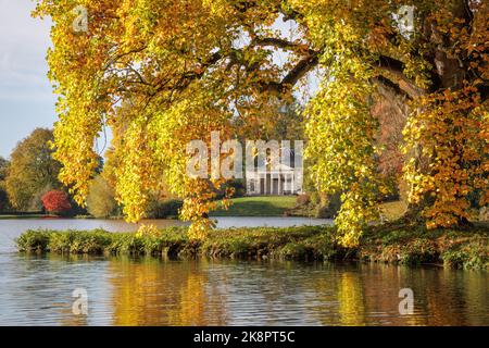 24.. Oktober 2022, Stourhead Landscape Garden, Wiltshire wunderschöne Herbstfarben sind in einem der malerischsten Landschaftsgärten der Welt zu sehen. Ein riesiger, altgedienter Tulpenbaum (Liriodendron tulipifera) spiegelt sich im Wasser des Sees wider und umrahmt das Pantheon darüber hinaus - nach dem Vorbild der antiken griechischen Architektur das Pantheon ist ein Tempel der Götter, der 1753 erbaut wurde.Quelle: Casper Farrell/Alamy News Stockfoto