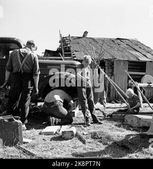 Flatdal in Telemark, August 1959. Fjellgården Ekre liegt 600 Meter über dem Meeresspiegel und in einem derart unwegsamen Gelände, dass "niemand denken würde, dass jemand es könnte BU". Was zu tun ist, muss bei weitem getan werden. Hier reparieren der Vater und die Söhne des Hofes den alten Lastwagen. Im Hintergrund die alte Scheune, die mehr als 200 Jahre alt ist. Foto: Aage Storløkken / Aktuell / NTB Stockfoto