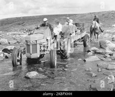 Hardangervidda 19560728 der Tourismusverband organisiert eine Reittour auf Hardangervidda für norwegische und englische Touristen, die noch nie zuvor auf einem Pferd gesessen haben. Hier Flusskreuzung mit Traktor. Foto; Aage Storløkken / Aktuell / NTB Stockfoto