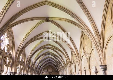 Salisbury Wiltshire, Großbritannien, 10, Oktober 2022 Menschen erkunden den überdachten Gang der Salisbury Cathedral Cloisters. Stockfoto