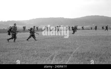 Vestfold 1952115. Die erste Militärübung in Norwegen in der Nachkriegszeit nahm an 30.000 Männern und 7.000 Fahrzeugen in der Übung 'Herbst' Teil Es war eine regnerische Übung. Zwischen den Regenfällen hing der Verschluss schwer in den Baumkronen, alles war durchnässt, grau, traurig und sauer. Die Vorladung kam aus Ostnorwegen, Sørlandet, Rogaland, Møre und Trøndelag. Hier sehen wir aus der Übung. Foto: Sverre A. Børretzen / NTB Stockfoto