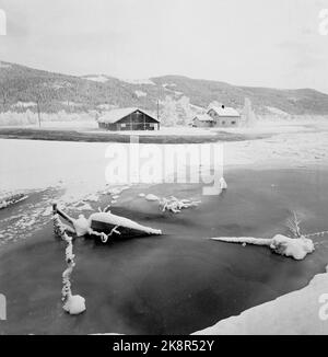 Trysil Januar 1968 Eisflut im Trysil: Der Trysil wurde durch große Eismengen zwischen dem Einbauten und dem Boden gedämpft, wodurch Überschwemmungen entstanden, die innerhalb weniger Tage sieben kleine Farmen unter Wasser ließen und andere Nutzungen bedrohten. Hier aus Nordre Trysil, wo das Wasser über dem Boden des Hofes liegt und die Besitzer auf unbestimmte Zeit evakuiert werden. Foto: Storløkken / Aktuell / NTB Stockfoto