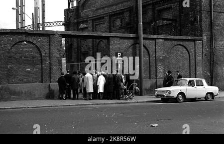 Oslo Juni 1968 Fast einhundert Zigeuner kamen im Frühjahr 1968 nach Oslo. Sie erhielten einen Platz auf dem Gasplot in Oslo East. Jeden Tag gibt es Menschen, die sie anschauen wollen. Foto: Sverre A. Børretzen / Aktuell / NTB Stockfoto