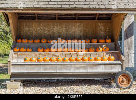 Kürbisse zum Verkauf an einem Shelter Island Farmstand Stockfoto