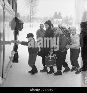 Aurskog 11 February 1956 'Diese Kinder haben 3 Meilen Schulstraße' die jungen Kinder Kjell aus Nybak, Hallvard aus Sinkerud und Marit aus Stenshaugen müssen 6 km allein durch den nächtlichen Schwarzwald laufen, bevor sie den Schulbus in Bekkesaga erreichen. Sie müssen um 5 Uhr aufstehen, um den Bus zu erreichen, der zur Haneborg-Schule in Aurskog fährt. Kjell aus Nybak auf dem Weg in den Schulbus mit anderen Schülern. Foto; Sverre A. Børretzen / Aktuell / NTB Stockfoto