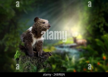 Bärenjunge sitzt auf einem Stumpf mitten im Wald vor dem Hintergrund eines Flusses und eines Hirsches und Sonnenstrahlen. Surreale Konzeptkunst Stockfoto