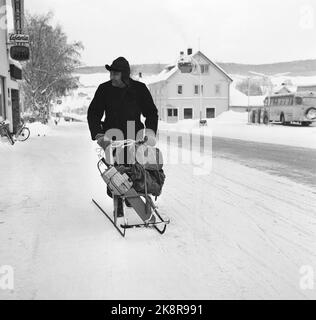 Tynset 11. Februar 1967, Bericht über Norwegens kältestes Dorf Tynset. Hier ist eine Waldarbeit mit Kettensäge auf Trittunterstützung in Tynset's Straßen. Foto: Aage Storløkken / Aktuell / NTB Stockfoto