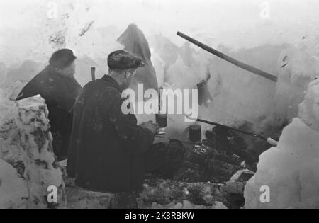 Holzfahren in Buskerud. Obere Sandsvær. Große Schneemengen, die den Betrieb erschweren. Hier kommen Logger, die eine Pause einlegen. Waldarbeiter kochen Kaffee an Lagerfeuern. Foto: NTB Stockfoto