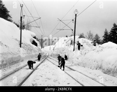 Südnorwegen, Februar 1951: Starker Schneefall über dem südlichen Teil des Landes verursachte wochenlang Chaos. Zweimal war die Sørlandsbanen wegen Schneefalls geschlossen. Hier werden die Gleise am Bahnhof Vegårdshei geräumt, zum 14.. Mal in diesem Winter. Die Pflasterkanten wurden allmählich 5 Meter hoch. Foto: Arne Kjus / Aktuell / NTB Stockfoto