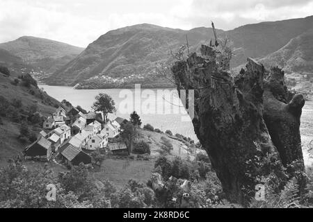 Osterøy 19680727. Havråtunet in Osterøy in Hordaland ist ein Hof, in dem die Vergangenheit noch lebt. Um das Jahr 1300 war Havråtunet ein gut etablierter Bauernhof. Hier ist ein Überblick über Havråtunet. Foto: Sverre Børretzen Current / NTB Stockfoto