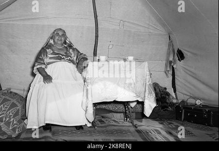 Hokksund 19590709 Alte Zigeunerin / Frau aus dem All Menschen in ihrem Zelt in einem Zigeunerlager in Hokksund. Foto: Knoblauch / NTB / NTB Stockfoto