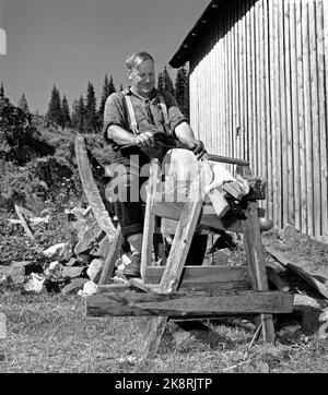 Flatdal in Telemark, August 1959. Fjellgården Ekre liegt 600 Meter über dem Meeresspiegel und in einem derart unwegsamen Gelände, dass "niemand denken würde, dass jemand es könnte BU". Hier der Bauer selbst, Bjørn Ekre, der auf dem Schleifstein im Hof grinst. Foto: Aage Storløkken / Aktuell / NTB Stockfoto