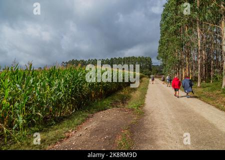 Navarra, Spanien, 26. August 2022: Pilger wandern entlang des Jakobswegs, dem Jakobsweg, Navarra, Spanien. Stockfoto