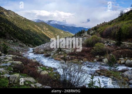 Ein Herbsttag auf den Hügeln des Dorfes Özgüven (Gudasev) im Bezirk Yusufeli der Provinz Artvin. Stockfoto