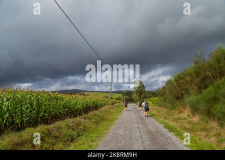 Navarra, Spanien, 26. August 2022: Pilger wandern entlang des Jakobswegs, dem Jakobsweg, Navarra, Spanien. Stockfoto