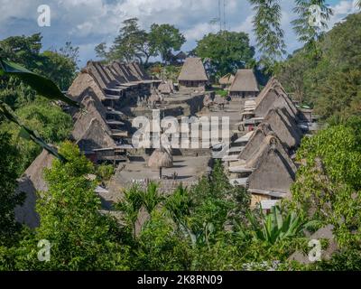 Bena Traditionelles Dorf der Ngada, in der Nähe von Bajawa auf der Insel Flores, Ost-Nusa Tenggara, Indonesien Stockfoto