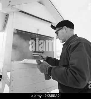 Tynset 11. Februar 1967, Bericht über Norwegens kältestes Dorf Tynset. Hier gibt Landwirt Nils Hansæl dem Institut in Oslo täglich Informationen über Temperatur und Niederschläge. Er hat im Haus über vierzig Minusgrade gemessen. Aber am Boden waren es fast fünfzig. Foto: Aage Storløkken / Aktuell / NTB Stockfoto