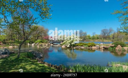 Ein Blick auf botanische Pflanzen am Teich vor einem Gebäude unter dem blauen Himmel im Garten des Phönix Stockfoto