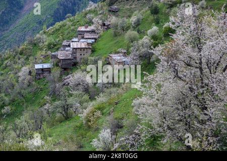 Frühling im Bezirk Harat des Dorfes Ceberket, Bezirk Yusufeli der Provinz Artvin. Stockfoto