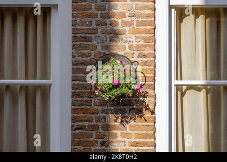 Mehrfarbige Frühlingsblumen hängen in einem Korb Stockfoto