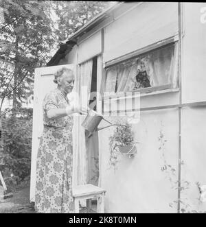 Langes Jahr, Oslo 1957 Camping auf Langåra. Sie bauen Häuser für 80 Kronen. Foto; Kjell Johansen / Aktuell / NTB Stockfoto