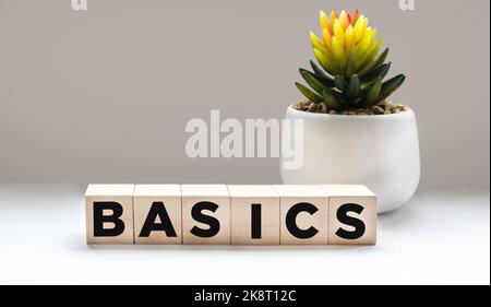 Basissymbol. Konzept des Wortes Grundlagen auf Holzwürfeln. Schöner weißer Hintergrund mit Kaktus. Business- und Basiskonzept. Speicherplatz kopieren. Stockfoto