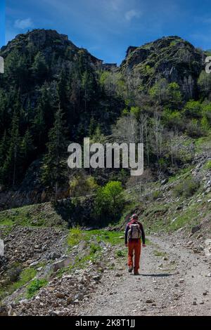 Traditionelle Plateauhäuser in der Aşağı-Sakora-Hochebene (Aşağı Sakora Yaylası) im Bezirk Yusufeli der Provinz Artvin. Stockfoto