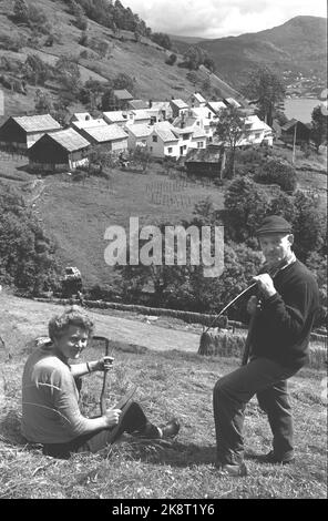 Osterøy 19680727. Havråtunet in Osterøy in Hordaland ist ein Hof, in dem die Vergangenheit noch lebt. Um das Jahr 1300 war Havråtunet ein gut etablierter Bauernhof. Auf dem Foto werden Johannes Torrp und seine Frau Ingrid die Väter der Väter nicht verändern oder von ihr abziehen, aber es ist nicht möglich, von der Landwirtschaft zu leben. Hier trifft das Ehepaar mit einer Sense auf das Gras. Havråtunet im Hintergrund. Foto: Sverre Børretzen Current / NTB Stockfoto