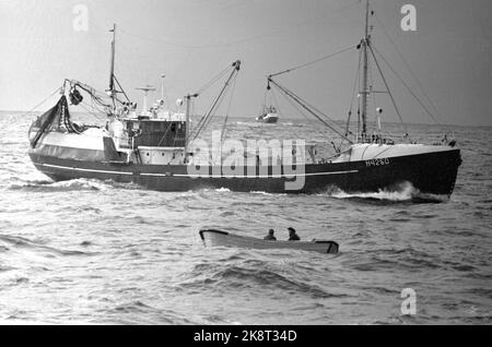 19690322. 'Das schwärzeste Heringsjahr'. Das Ergebnis der diesjährigen Winterheringfischerei ist das schlimmste, das wir in diesem Jahrhundert hatten. Aber nicht nur die natürliche Basis, der Hering, ist gescheitert. Die Entwicklung der Heringflotte hat ohne Ziele und Management stattgefunden. Wenn sich diese Entwicklung fortsetzt, werden einige dieser Boote in kurzer Zeit unter den Auktionshammer kommen. Der Angelskate 'Jøkul' mit zwölf Männern steht auf dem Meer nördlich von Kristiansund und wartet auf den großen Hering. Foto: Sverre A. Børretzen / NTB Stockfoto