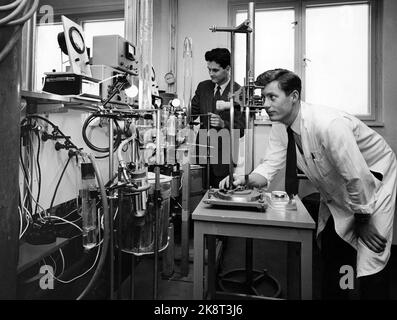 Oslo 195702020. In den Laboratorien im Blindern Research Center wird eine solide Basis für den Fortschritt der norwegischen Industrie gelegt. Die zunehmende Automatisierung in der Branche erfordert, dass die Menschen jederzeit auf dem neuesten Stand sind. Dr. Phil. Per Kofstad und der Chemiker Nils Oluf Andresen sind dabei, die Oxidationsbeständigkeit von Titanlegierungen in verschiedenen Temperaturbereichen zu untersuchen. Foto: Aage Storløkken / Aktuell / NTB Stockfoto