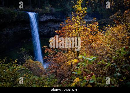 Latourell fällt in der Columbia River Gorge, Oregon Stockfoto