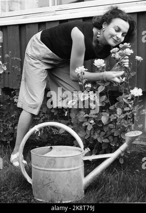 Oslo 19531021. Schauspielerin Eva Strøm Aastorp vermittelt die romantische Liebe zu Folketeatrets Opernerfolg 'Gold Diggers' Hier sehen wir ihre Pflege für die Blumen im Garten des Mackerel Basin, in dem sie lebt. Foto: Aage Storløkken / Aktuell / NTB Stockfoto