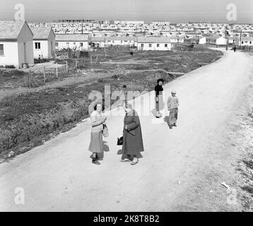 Israel March 1958 "am 14. Mai vor 10 Jahren wurde Israel zu einem unabhängigen Staat erklärt. Innerhalb weniger Stunden war der junge Staat mit seinen arabischen Nachbarn im Kampf um Leben und Tod, überlebte aber. Seitdem hat es mehr oder weniger Waffenstellung gegeben, und in diesen 10 Jahren wird eine neue Gesellschaft von der Erde aufgestampft. ' Photo; Sverre A. Børretzen / Current / NTB Stockfoto