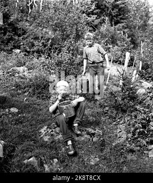 Flatdal in Telemark, August 1959. Fjellgården Ekre liegt 600 Meter über dem Meeresspiegel und in einem derart unwegsamen Gelände, dass "niemand denken würde, dass jemand es könnte BU". Die Söhne der Farm helfen bei der täglichen Arbeit und beim Essen. Hier haben Bjarne (7) und Halvard (13) große Eimer voller Beeren gepflückt. Die Bjarne-Verkostung schmeckt auf den Beeren. Foto: Aage Storløkken / Aktuell / NTB Stockfoto