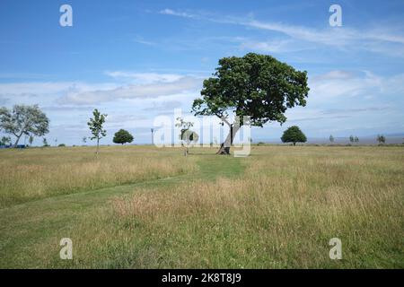 Cliff Top Park Penarth South Wales Stockfoto