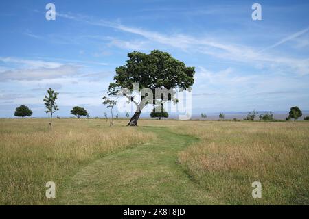 Cliff Top Park Penarth South Wales Stockfoto