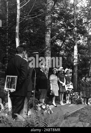 Åndalsnes 19690810. Königin Elisabeth II. Von England besucht Norwegen mit der Familie. Hier sind einige der Könige, die die königliche Birke in Glomstuen besuchen, die aus den ersten Tagen des Krieges bekannt ist. Beachten Sie das Bild, das der Mann auf der linken Seite auf dem Rücken hält. Es gibt ein Bild von König Haakon und Kronprinz Olav unter Bjørken im Jahr 1940. König Olav ist mit Königin Elizabeth, Prinzessin Anne und Kronprinzessin Sonja zusammen. Handschuhe, schwer. NTB-Archiv/ntb Stockfoto