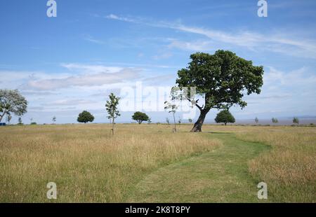 Cliff Top Park Penarth South Wales Stockfoto