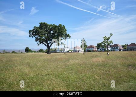 Cliff Top Park Penarth South Wales Stockfoto