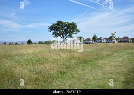 Cliff Top Park Penarth South Wales Stockfoto