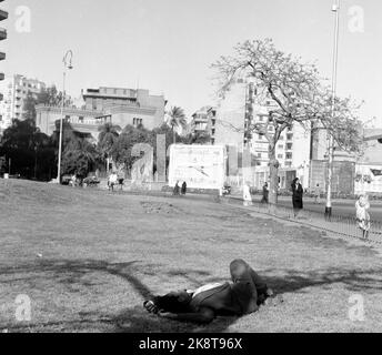 Kairo, Ägypten 19590515 Fliegender Teppich mit Jet. Urbound und Jet Age trafen sich in Ägypten, als SAS am 15. Und 16. Mai seine caravelle-Route zwischen Skandianvia und Kairo eröffnete. Zwischen der Pyramide und dem Jet ist eine riesige Schnalle in der Zeit und Entwicklung. Mit seinen neuen, schnellen Karavellen trägt SAS dazu bei, Menschen und Kontinente enger miteinander zu verbinden. Kairo stand eine ganze Woche lang auf dem Schild der Caravelle-Route. Auf einem offenen Platz im Zentrum hatten die Behörden SAS erlaubt, dieses auffällige Plakat aufsetzen zu können. Ein Gefallen, den bisher keine Fluggesellschaften erhalten haben. Foto: Asmund Rørslett / Current / NTB Stockfoto