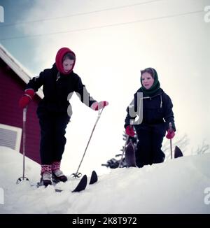 Gausdal 1955 - Königin Ingrid von Dänemark auf einem privaten Winterurlaub in Norwegen mit ihren drei Töchtern, Erbprinzessin Margrethe, Prinzessin Benedikte und Prinzessin Anne-Marie. Königin Ingrid hatte seit 20 Jahren keine Skier mehr auf den Beinen. Zwei Schwestern auf Skiern, t.v Prinzessin Benedikte und Prinzessin Anne-Marie. Foto: Sverre A. Børretzen / Aktuell / NTB Stockfoto