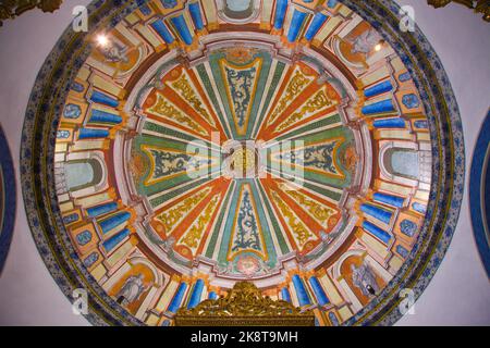 Portugal, Viseu, Nossa Senhora do Carmo, Chuch, innen, Stockfoto