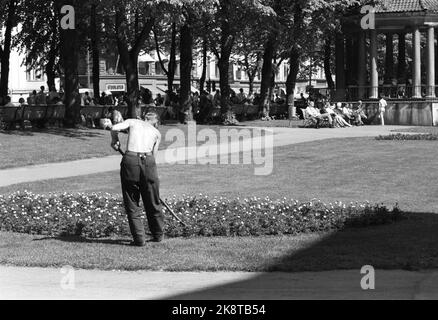 Oslo 28. Juni 1969. Karl Johansgate an einem heißen Sommertag in Oslo. Hier schlüpft vom Student Lund ein Gärtner in die Betten. Blumenbeete. Foto: Per Ervik / Current / NTB Stockfoto