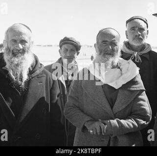 Israel March 1958 "am 14. Mai vor 10 Jahren wurde Israel zu einem unabhängigen Staat erklärt. Innerhalb weniger Stunden war der junge Staat mit seinen arabischen Nachbarn im Kampf um Leben und Tod, überlebte aber. Seitdem hat es mehr oder weniger Waffenstellung gegeben, und in diesen 10 Jahren wird eine neue Gesellschaft von der Erde aufgestampft. ' Photo; Sverre A. Børretzen / Current / NTB Stockfoto