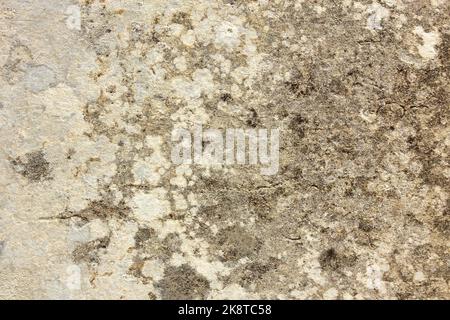 Alte Wand mit schäbig beschädigtem Putz. Textur, Muster, Hintergrund. Speicherplatz kopieren. Stockfoto