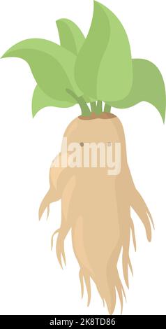 Hexerei mandrake Symbol Cartoon-Vektor. Halloween-Pflanze. Pflanzengift Stock Vektor