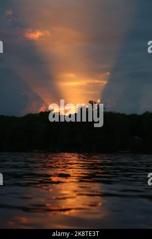 Eine faszinierende vertikale Aufnahme eines hellen Sonnenuntergangs hinter den Bäumen am Seeufer Stockfoto