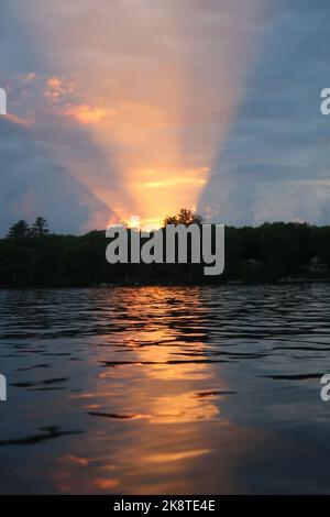 Eine faszinierende vertikale Aufnahme eines hellen Sonnenuntergangs hinter den Bäumen am Seeufer Stockfoto